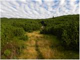 Planina Ravne - Kocbekov dom na Korošici